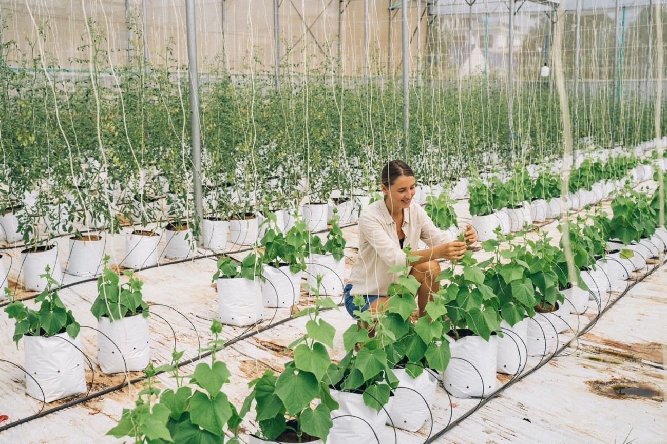 Mujer plantando